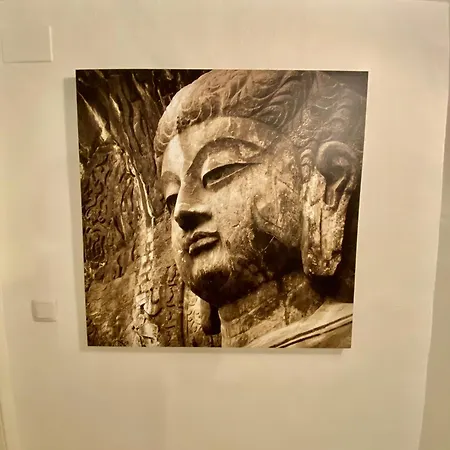 Nuevo En Centro 19743 *