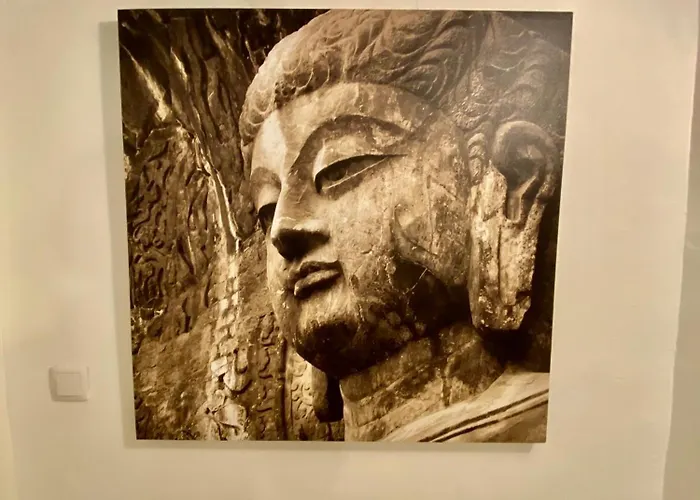 Nuevo En Centro 19743 *